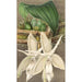 Reproduction of the painting Stanhopea eburnea var. spectabilis - Charles Antoine Lemaire