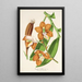 Reproduction of the painting Vanda Cathearty - Charles Antoine Lemaire