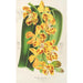 Vanda gigantea - Charles Antoine Lemaire — vista de la obra