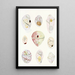 Les dinoflagellés libres non cuirassés pl 6 - Charles Atwood Kofoid — framed artwork on a wall