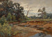 de Madera de Indiana - Charles Conner — vista de la obra
