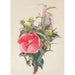 Reproducción del cuadro Hibiscus - Charles Demuth