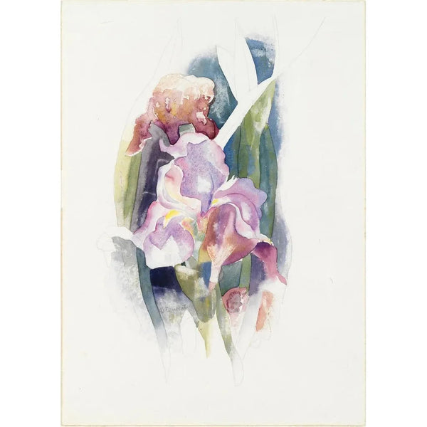 Purple Iris Painting - Charles Demuth — framed artwork on a wall