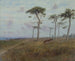 de ganado pastando entre los cipreses de Monterey - Charles Dorman Robinson — vista de la obra