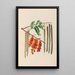 Reproduction of the painting of South American tropical flower and fruit drawings Pl11 - Charles Empson
