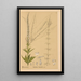Plantas medicinales Pl007 - Charles Frederick Millspaugh — cuadro enmarcado en la pared