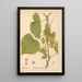 Plantas medicinales Pl073 - Charles Frederick Millspaugh — cuadro enmarcado en la pared