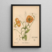 Medicinal plants Pl078 - Charles Frederick Millspaugh — framed artwork on a wall
