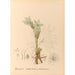 Plantas medicinales Pl094 - Charles Frederick Millspaugh — vista de la obra