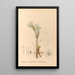 Plantas medicinales Pl094 - Charles Frederick Millspaugh — cuadro enmarcado en la pared