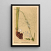 Medicinal Plants Painting Pl104 - Charles Frederick Millspaugh — framed artwork on a wall