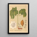Plantas medicinales Pl110 - Charles Frederick Millspaugh — cuadro enmarcado en la pared