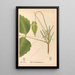 Plantas medicinales Pl131 - Charles Frederick Millspaugh — cuadro enmarcado en la pared