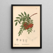 Medicinal Plants Pl149 - Charles Frederick Millspaugh — framed artwork on a wall