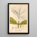 Reproduction of the painting Medicinal Plants Pl167 - Charles Frederick Millspaugh