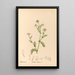 Medicinal Plants Pl177 - Charles Frederick Millspaugh — framed artwork on a wall