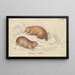 Echidna long-beak - Charles Hamilton Smith — framed artwork on a wall