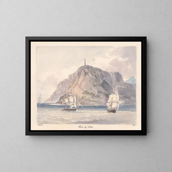 Rocher de Lisboa - Charles Hamilton Smith — cuadro enmarcado en la pared