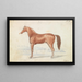 The Racehorse English - Charles Hamilton Smith — framed artwork on a wall