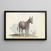 El Mulo - Charles Hamilton Smith — cuadro enmarcado en la pared