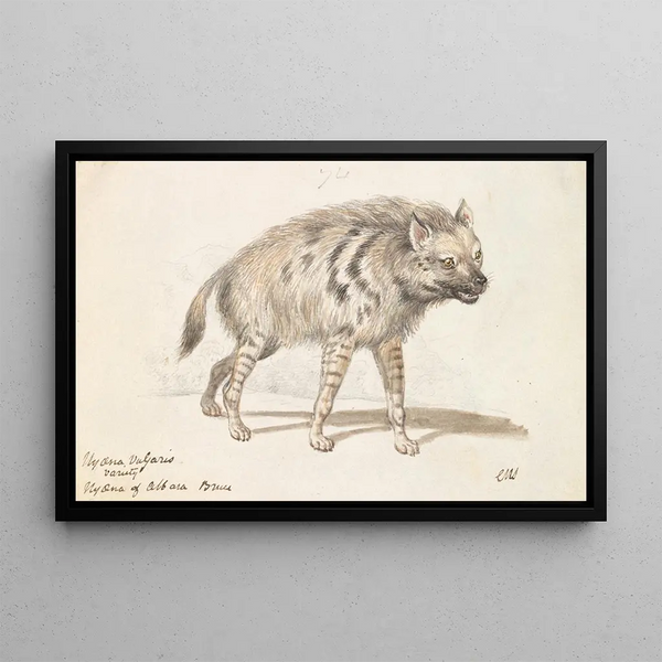 Charles Hamilton Smith - The Hyena of Albara.webp