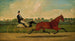 El Trotador - Charles Spencer Humphreys — vista de la obra