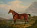 Un caballo de caza alazán perteneciente a Richard Tiltey - Charles Towne — vista de la obra