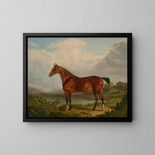 Charles Towne - A chestnut hunter belonging to Richard Tiltey.webp