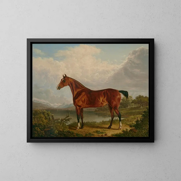 Un caballo de caza alazán perteneciente a Richard Tiltey - Charles Towne — cuadro enmarcado en la pared