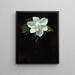 Magnolia - Charles Walter Stetson — cuadro enmarcado en la pared
