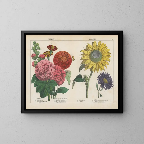 Flores de otoño - Charlotte Mary Yonge — cuadro enmarcado en la pared