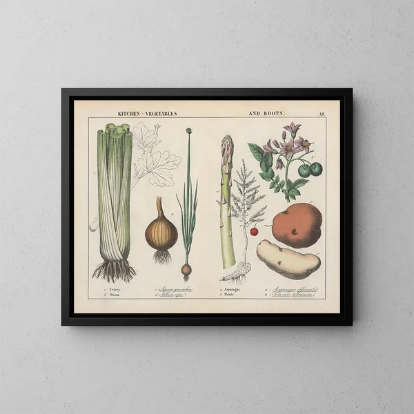 verduras y raíces de cocina: apio, cebolla, espárrago, patata - Charlotte Mary Yonge — cuadro enmarcado en la pared