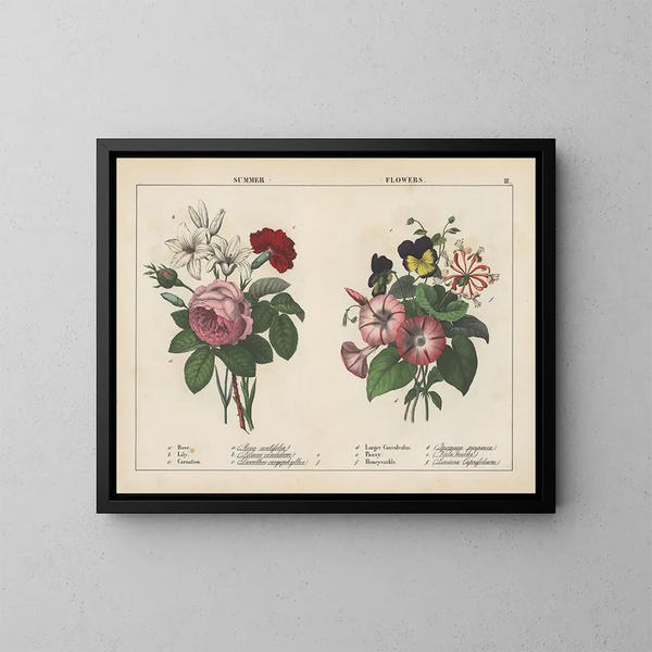 Flores de verano - Charlotte Mary Yonge — cuadro enmarcado en la pared