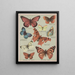 Papillons d'Amérique Pl3 - Chase Sanborn — cuadro enmarcado en la pared
