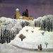 Castillo de Birseck bajo la nieve - Fritz Baumann — vista de la obra