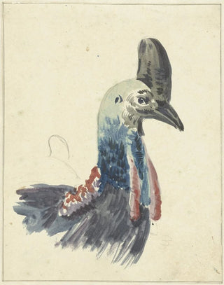Christiaan van Geelen - Kop van de Kasuaris.webp