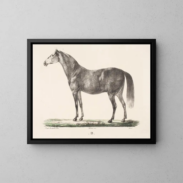 The horse D - Christian David Gebauer — framed artwork on a wall