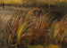 Reed beds by a autumnal stream - Christian Friedrich Gille — artwork view