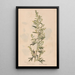 Ectypa vegetabilium Pl076 - Christian Gottlieb Ludwig — cuadro enmarcado en la pared