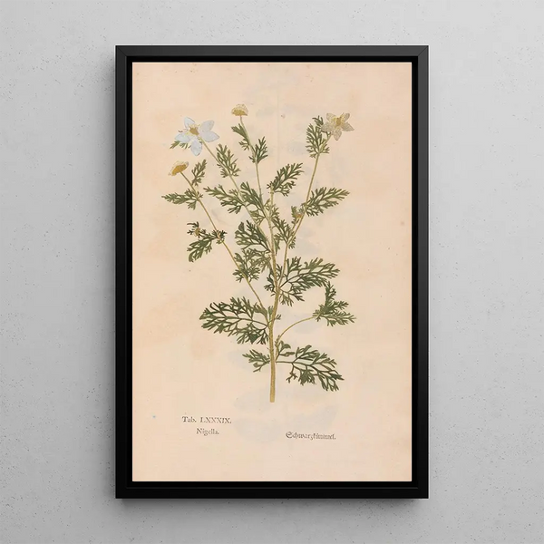 Ectypa vegetabilium Pl089 - Christian Gottlieb Ludwig — cuadro enmarcado en la pared