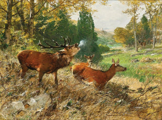 Christian Krner - Red Deer in a Forest Glade.webp