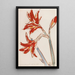 Amaryllis rojo - Christian Rohlfs — cuadro enmarcado en la pared