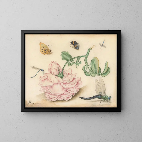 Una rosa y cinco insectos - Christoffel van den Berghe — cuadro enmarcado en la pared