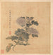 Crisantemo - Chen Hongshou — vista de la obra