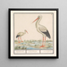Stork Ciconia ciconia - Anselmus Botius de Boodt — framed artwork on a wall