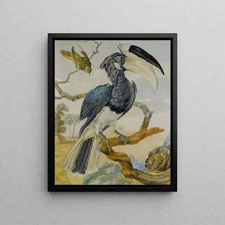 Circle of Aert Schouman - A Hornbill And Another Bird On A Branch.webp