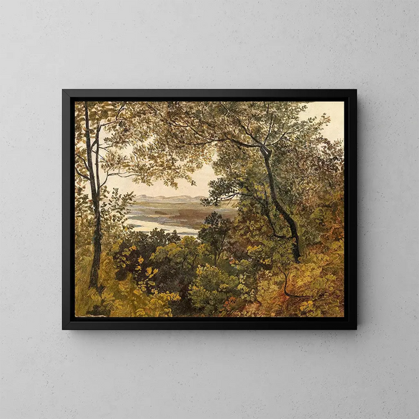 Vista no regulada del Danubio desde Bisamberg - Círculo de Friedrich Gauermann — cuadro enmarcado en la pared