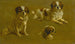 Study of a King Charles Spaniel - Maud Earl Circle — artwork view