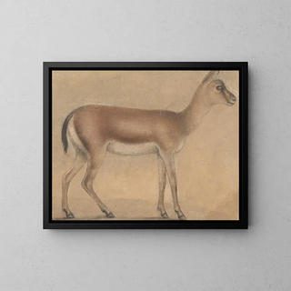 Circle of Michelino da Besozzo - A Gazelle In Profile Moving Toward The Right.webp