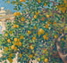 Reproducción del cuadro Citronniers à La Mortola - Theo van Rysselberghe